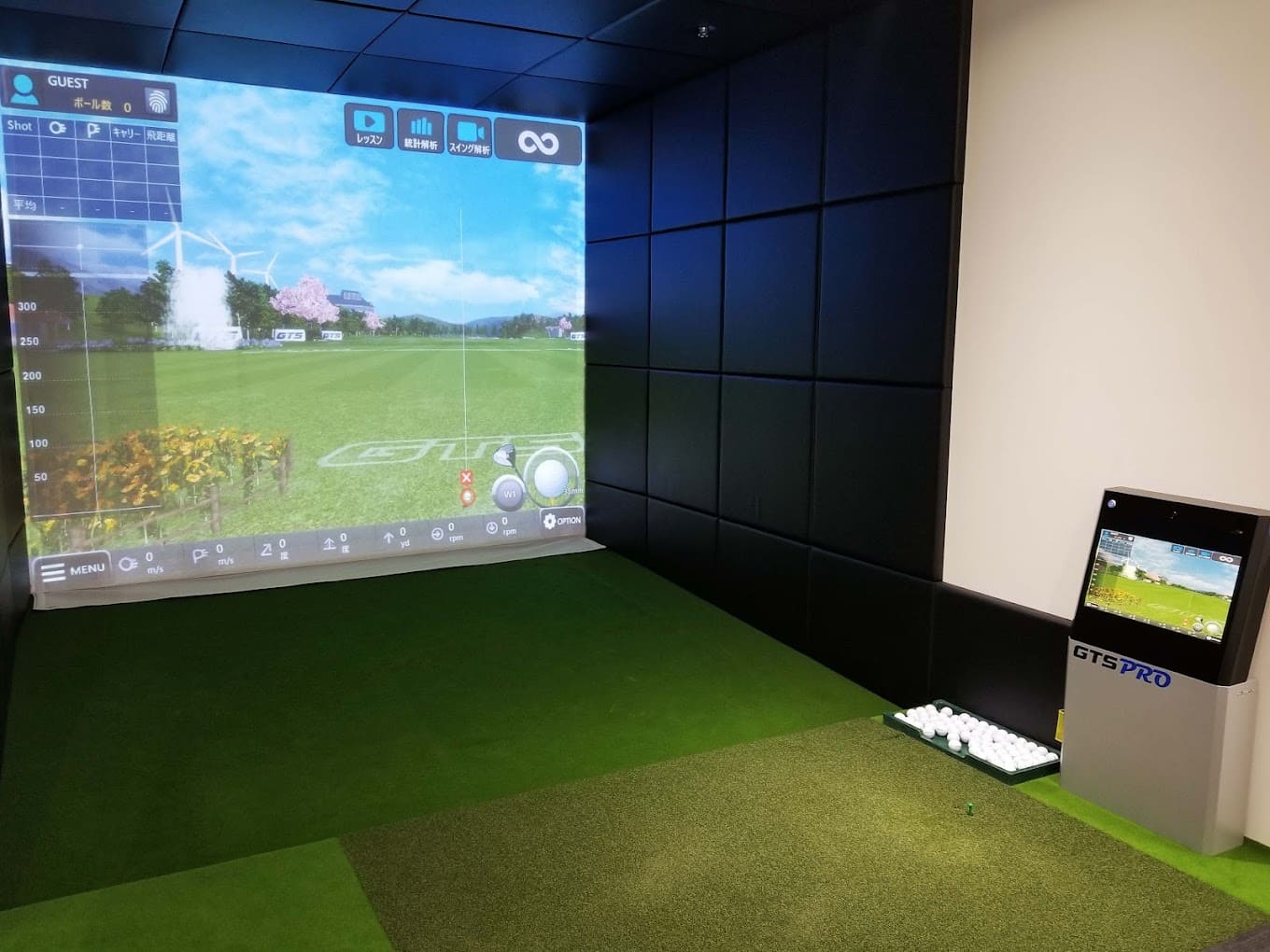 PERSONAL GOLF LESSON esforta prime